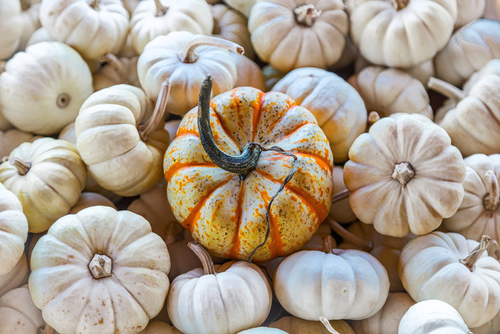 Cozying Up to Fall:  Easy How To’s to Update Your Home for the Season