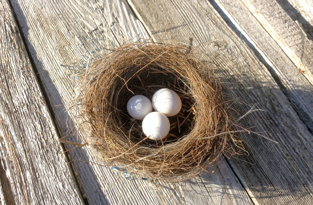 Feathering Your Nest:  Renovating at Home for the Empty Nester