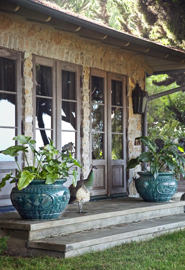 Tuesday's Trends: Chic Container Gardens