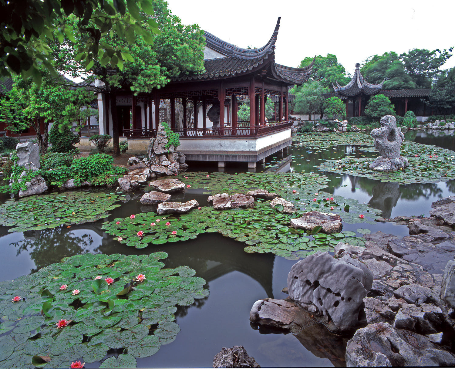 Chinese Feng Shui Garden