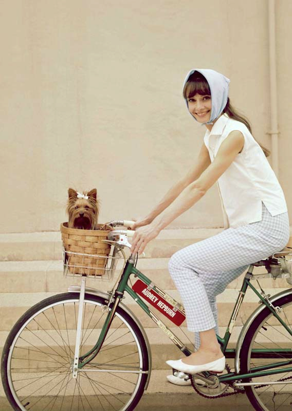 Tuesday's Trends: Fab Bike Accessories
