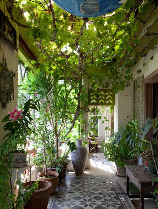 Green Envy: Top Picks for Chic Garden Rooms