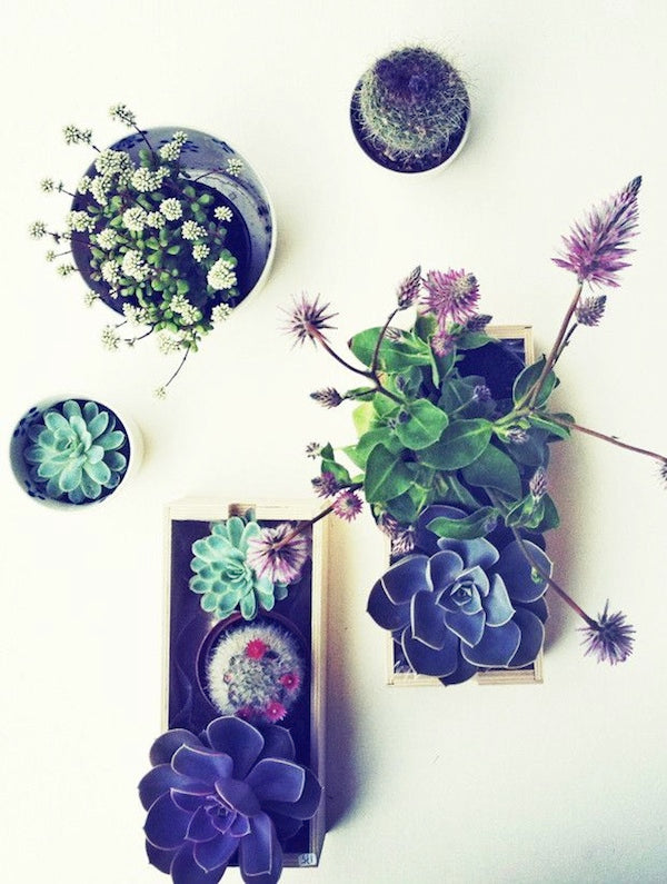 Green Thumb Chic: How to Keep Your Garden Going Indoors