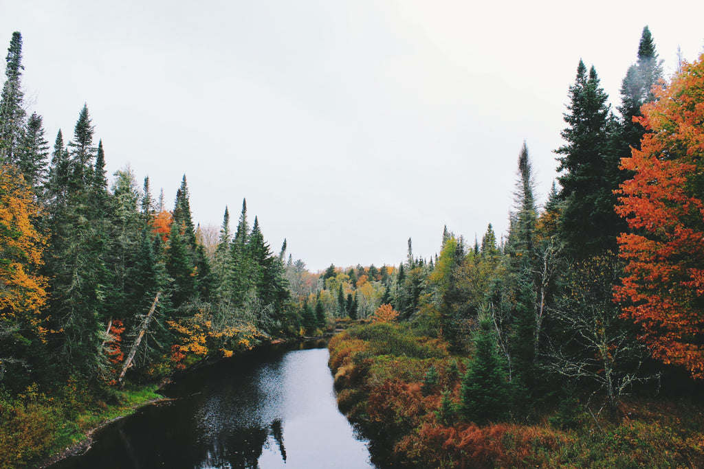 Image shows an autumn Adirondack scene, trees on either side of water in mostly green, with tinges of reds and yellows scattered throughout. Photo by Noah Silliman on Unsplash.