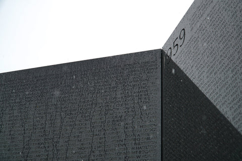 Picture of Vietnam Veterans Memorial. Photo by Ian Hutchinson on Unsplash.