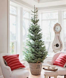 Transitioning Holiday Decor to Winter Decor