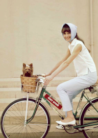 Tuesday’s Trends: Fab Bike Accessories