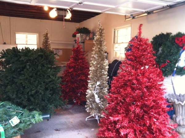 Festive Foliage: Top Picks for Colorful Christmas Trees